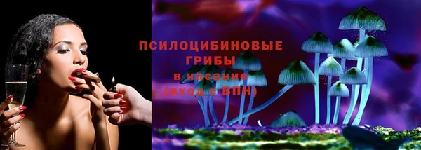 шишки Пролетарск